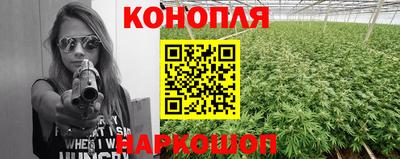 apvp Нарткала