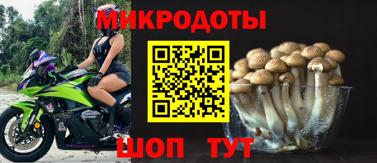 Псилоцибиновые грибы GOLDEN TEACHER  Вход с VPN  Тосно 